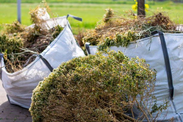 Basement Cleanout Services in Fairfax, IA